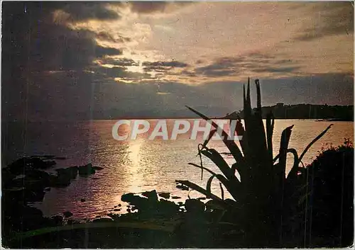 Cartes postales moderne La Cote d'Azur Quand vient la Nuit