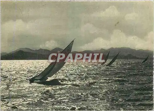 Moderne Karte Voiliers et l'Esterel La Cote d'Azur Bateaux