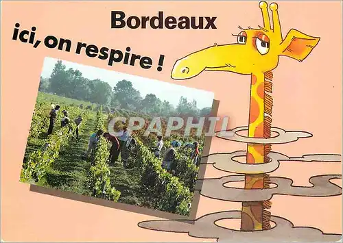 Cartes postales moderne Bordeaux ici on Respire Giraffe