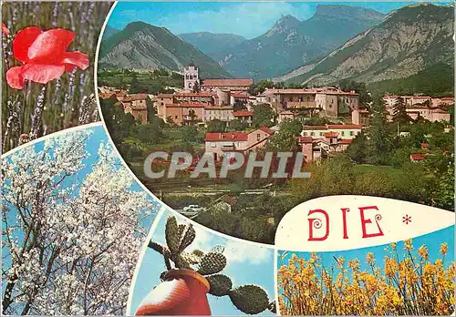 Cartes postales moderne Die (Drome)