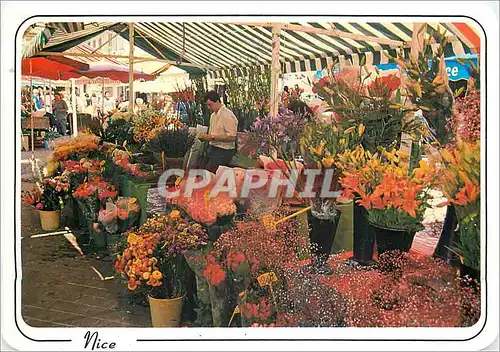Cartes postales moderne Nice Images de France Reflets de la Cote d'Azur Le Marche aux Fleurs