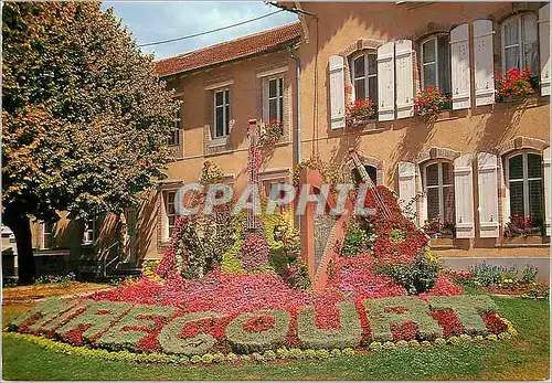 Cartes postales moderne Mirecourt (Vosges) France Harpe Guitare Violoncelle