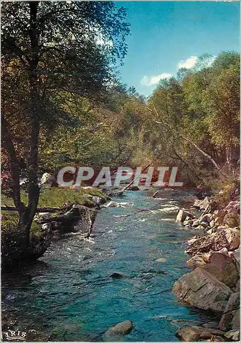 Cartes postales moderne Le Limousin Touristique Cest un Trou de Verdure ou Chante une Riviere Accrochant follement aux H