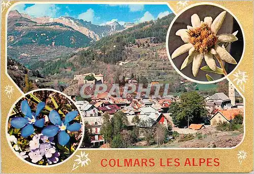 Moderne Karte Souvenir de Colmar les Alpes Altitude 1200 m