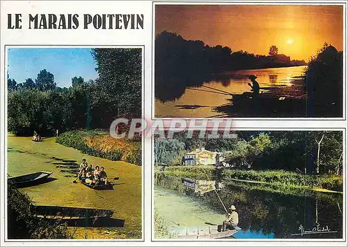 Moderne Karte Vues Typiques du Marais Poitevin La Venise Verte Peche Bateau