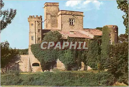 Cartes postales moderne Lourmarin (Vaucluse) La Capitale du Luberon Le Chateau (XVe et XVIe S)