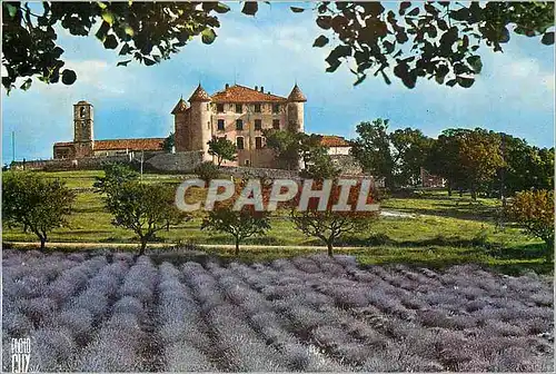Cartes postales moderne Gorges du Verdon Paysage de France Champ de Lavande pres du Chateau d'Aiguines (Var)