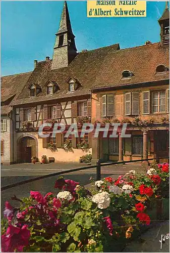 Cartes postales moderne Kaysersberg (Haut Rhin) Couleurs et Lumiere de France Maison Natale de Dr Albert Schweitzer ne l