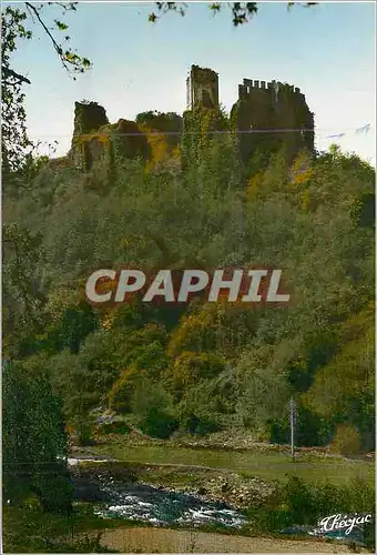 Cartes postales moderne La Haute Vienne Pittoresque Les Ruines de Chalusset