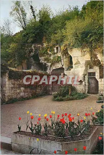 Cartes postales moderne Dampierre sur Loire La Cave dans le Roc Renommee par ses Vins
