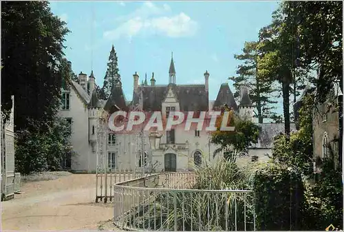Cartes postales moderne Vivy (M et L) Chateau de Naze