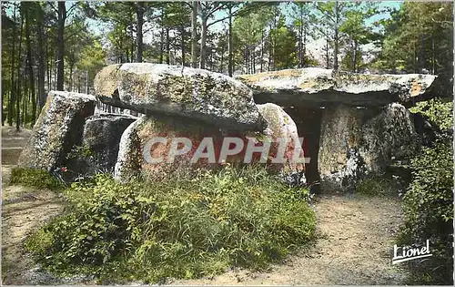 Cartes postales moderne Environs de Bauge (Maine et Loire) Dolmen de Pierre Couverte
