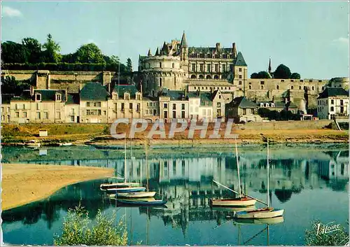 Cartes postales moderne Amboise (Indre et Loire) Les Merveilles du Val de Loire La Loire Le Quai Charles Guinot et le Ch