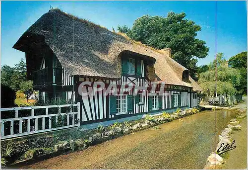 Cartes postales moderne Sur la Cote Normande Dans un Cadre de Vegetation Ravissant