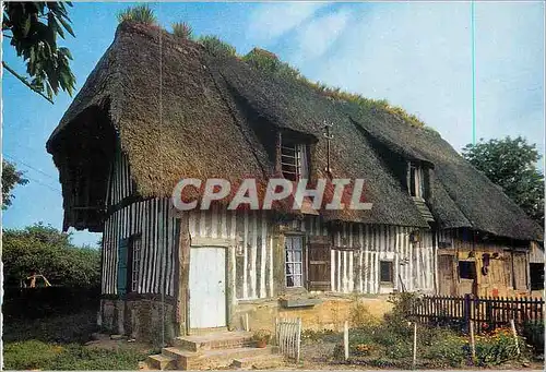 Cartes postales moderne Chaumiere Normande