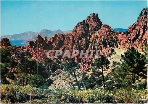 Cartes postales moderne Les Calanche de Piana Charmes et Couleurs de la Corse Les Roches Rouges et la Pinede