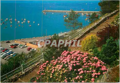 Cartes postales moderne Erquy (Cotes du Nord) le Port