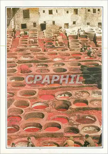 Cartes postales moderne Fes le Quartier des Tanneurs une Cour Pavee de Grandes Cuves Colorees