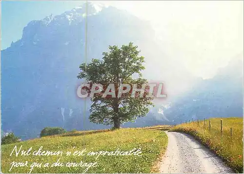 Cartes postales moderne Houtland Nul Chemin n'est Impraticable pour qui a du Courage