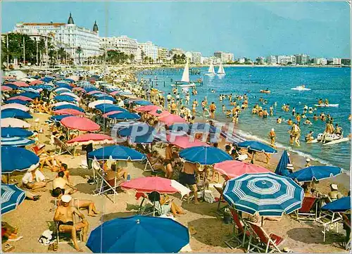Cartes postales moderne Cannes (Alpes Maritimes) la Cote d'Azur Miracle de la Nature Couleurs et Lumiere de la France la