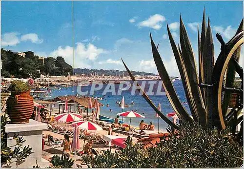 Cartes postales moderne Juan les Pins vue sur le Port de Plaisance prise de la Terrasse du Casino Municipal dans le Fond