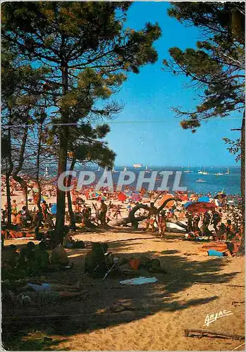 Cartes postales moderne L'Ile d'Oleron sur la Cote de Lumiere la Plage de Boyardville a l'Horizon le Fort Boyard