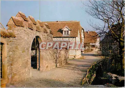 Cartes postales moderne Ungersheim (Haut Rhin) Economusee de Haute Alsace Alignement des Pignons sur la Rue