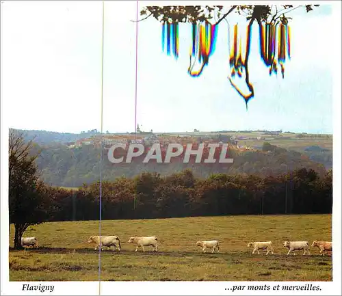 Cartes postales moderne Flavigny sur Ozerain en Pays d'Auxois Bourgogne