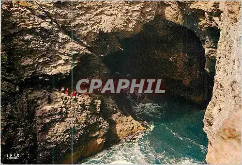 Moderne Karte Belle Ile en Mer la Grotte de l'Apothicairerie