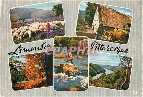 Cartes postales moderne Paysages du Limousin Peche Berger Moutons