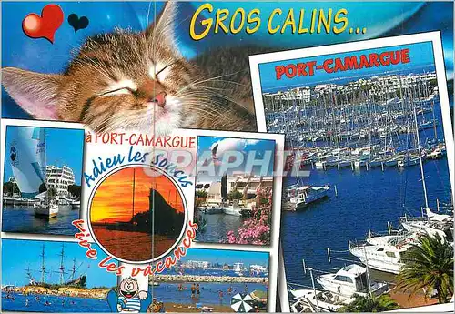 Cartes postales moderne La Camargue Port Camargue (Gard) Gros Calins Adieu les Soucis Vive les Vacances Bateaux