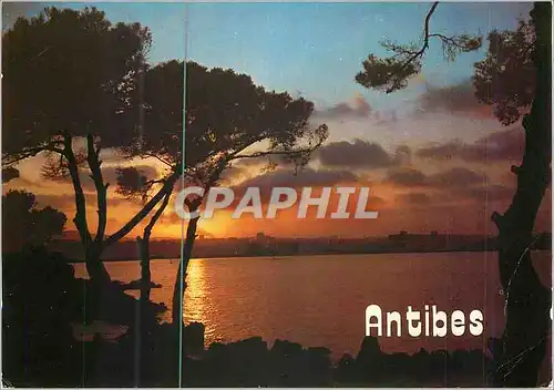 Cartes postales moderne Antibes Cote d'Azur Coucher de Soleil