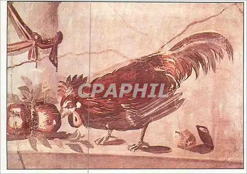 Moderne Karte Naples Musee National Site de Pompei (Salle du Plan a Pompei) Coq et Fruits