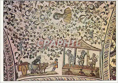 Cartes postales moderne In Situ Mosaique largeur de la Voute 350 cm Mausolee de Sainte Constance (Rome) Scene de Vendang