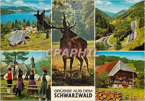 Moderne Karte Grusse Aus dem Schwarzwald Folklore
