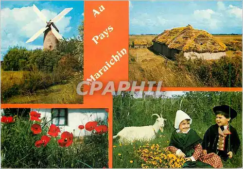 Cartes postales moderne Le Marais La Vendee Pittoresque Enfants Folklore Chevre Moulin a vent