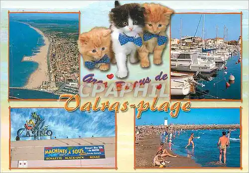 Cartes postales moderne Valras Plage (Herault) Au Bord de la Mediterranee Bateaux Chats Chatons Casino