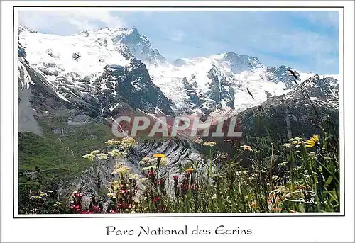 Moderne Karte Parc National des Ecrins Regard sur la Montagne Massif de la Meije (alt 3982 m)