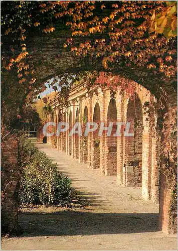 Cartes postales moderne Toulouse Ville Rose Le Cloitre du Couvent Saint Pierre des Chartreux (XVIIe) actuellement Jardin