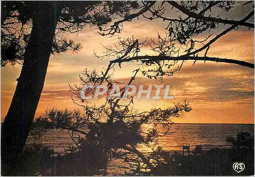 Cartes postales moderne J'ai vu le Soleil bas Tache d'Horreurs Mystiques Illuminant de longs Figements Violets Arthur Ri