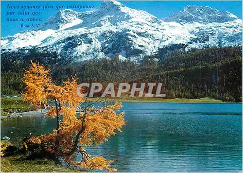Cartes postales moderne Silvaplanersee