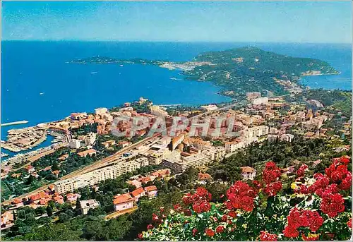 Moderne Karte Vue Panoramique sur Beaulieu sur Mer et le Cap Ferrat Cote d'Azur