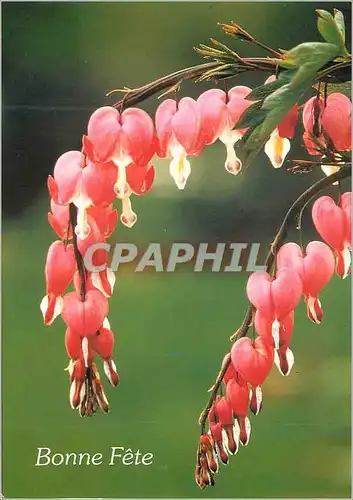 Cartes postales moderne Bonne Fete