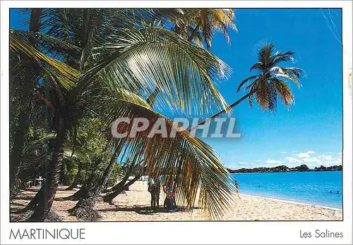 Cartes postales moderne Martinique Les Salines