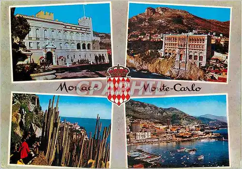 Cartes postales moderne Principaute de Monaco Monte Carlo Au Soleil de la Cote d'Azur