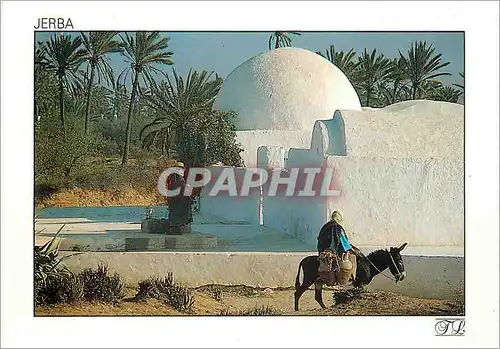 Moderne Karte Jerba Le Soir autour de la Citerne Ane Donkey