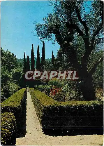 Cartes postales moderne Mallorca (Baleares) Espana Valldemosa Jardines de la Cartuja