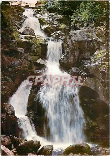 Cartes postales moderne Kurort Triberg Schwarzwald 700 1000m Deutschlands GraBte Wasserfalle