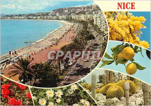 Cartes postales moderne Nice la Cote d'Azur Inoubliable