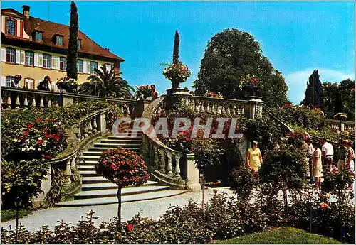 Moderne Karte Insel Mainau im Bodensee Treppe im Rosengarten